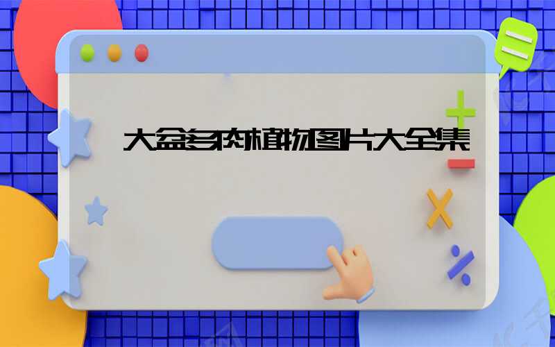 大盆多肉植物图片大全集